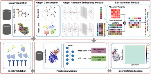 Our proposed framework includes five main modules: (1) Preprocessing module that consists of finding the binding sites of proteins; (2) AttentionSiteDTI deep learning module, where we construct graph representations of ligands’ SMILE and proteins’ binding sites, and we create a graph convolutional neural network armed with an attention pooling mechanism to extract learnable embeddings from graphs, as well as a self-attention mechanism to learn relationship between ligands and proteins’ binding sites; (3) Prediction module to predict unknown interaction in a drug–target pair, which can address both classification and regression tasks; (4) Interpretation module to provide a deeper understanding of which binding sites of a target protein are more probable to bind with a given ligand. (5) In-lab validations, where we compare our computationally predicted results with experimentally observed (measured) drug–target interactions in the laboratory to test and validate the practical potential of our proposed model.