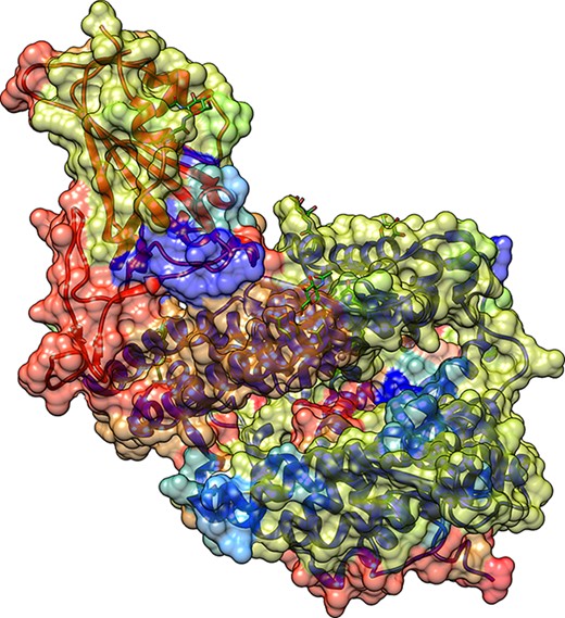 Depiction of COVID spike protein and ACE2 complex with PDB-ID of 6M0J; Color of the surface represents the binding sites computed through Saberi Fathi et al. algorithm. These binding sites are used to create the input to our graph embedding learning module. All protein visualization was produced with UCSF Chimera software [19].