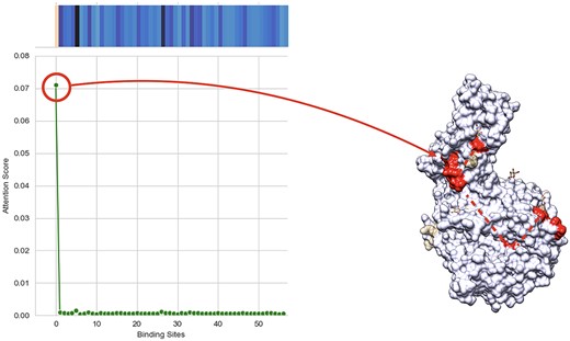 (Left) shows Heatmap and line plot of self-attention mechanism weights for each binding site in the proposed method with the input of Darunavir as ligand and complex of COVID spike protein and ACE2 as protein, which translates to the probability of each calculated binding site of the protein being active for that specific ligand. (Right) shows projected heatmap of self-attention weights on the complex of COVID spike protein and ACE2. This figure shows the interpretability of our model, which can give us the binding site that has the most probability of binding to the ligand.