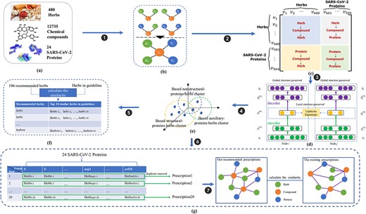 The work-flow of recommending herb combinations as the candidate therapy against COVID-19. (A) Data collection. (B) Heterogeneous ‘Herb-Compound-Protein’ network. (C) Matepath-based proximity matrix. (D) HCP-DGE model (inspired from SDNE approach). (E) Signaled herb clusters for SARS-CoV-2 structural, nonstructural and accessory proteins, individually. (F) Recommended ranking list of top-20 candidate herbs w.r.t. each single SARS-CoV-2 protein. (G) The process of recommending specific herb combinations referring certain infect-stage by employing VGAE approach.
