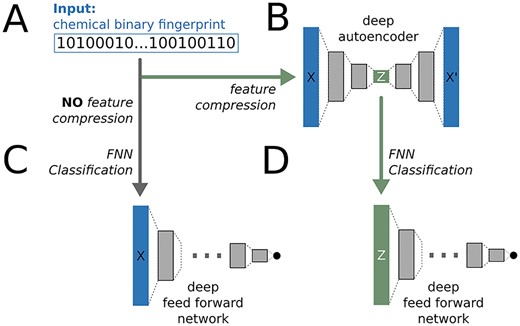 The deepFPlearn workflow. (A) The molecular fingerprints serve as input for the neural networks. (B) An AE is used to compress the fingerprints. (C) An FNN) is used for direct classification of the input. (D) An FNN is used for classification of the compressed input. Sizes of layers, activation and loss functions are different for each network and depend on the input size, see methods section.