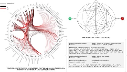 Tokens, Transitions, Groups and the Probabilistic Automaton.