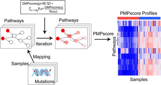 Flowchart of iPMP method.