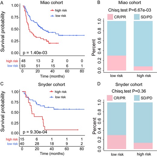 Validation of the predictive value of pathway-based risk score model. (A) Kaplan–Meier survival curves of OS comparing the high- and low-risk groups from the Miao cohort. (B) Comparison of the ORR between the high- and low-risk groups from the Miao cohort. (C) Kaplan–Meier survival curves of OS comparing the high-risk and low-risk groups from the Snyder cohort. (D) Comparison of the ORR between the high- and low-risk groups from the Snyder cohort.