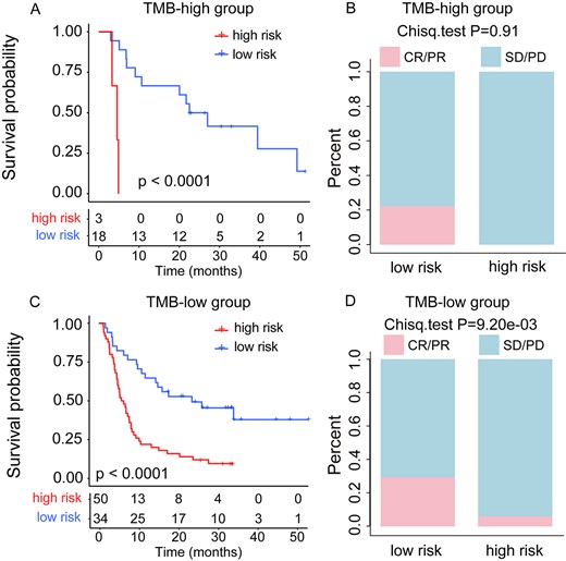 TMB stratification analysis in the melanoma training cohort. (A) Kaplan–Meier survival curves of OS comparing the high- and low-risk groups in TMB-high patients. (B) Comparison of the ORR between the high- and low-risk groups in TMB-high patients. (C) Kaplan–Meier survival curves of OS comparing the high- and low-risk groups in TMB-low patients. (D) Comparison of the ORR between the high- and low-risk groups in TMB-low patients.