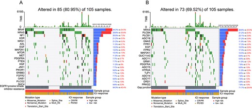 Mutation analysis of genes involved in the signature pathways. (A) Waterfall plot of the top 20 genes in terms of mutation rate involved in EGFR tyrosine kinase inhibitor resistance pathway. (B) Waterfall plot of the top 20 genes in terms of mutation rate involved in Gap junction pathway.