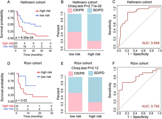 Prediction of clinical outcomes with the pathway-based risk score model in NSCLC. (A) Kaplan–Meier survival curves of OS comparing the high- and low-risk groups from NSCLC training cohort. (B) Comparison of the ORR between the high- and low-risk groups from NSCLC training cohort. (C) ROC curves for prediction of OS by pathway-based risk score in NSCLC training cohort. (D) Kaplan–Meier survival curves of OS comparing the high- and low-risk groups from Rizvi cohort. (E) Comparison of the ORR between the high- and low-risk groups from Rizvi cohort. (F) ROC curves for prediction of OS by pathway-based risk score in Rizvi cohort.