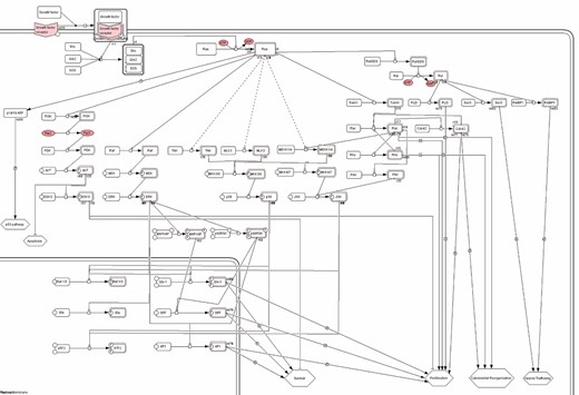 Ras pathway downloaded from Panther database. Link: http://pantherdb.org/pathway/pathwayDiagram.jsp?catAccession=P04393.