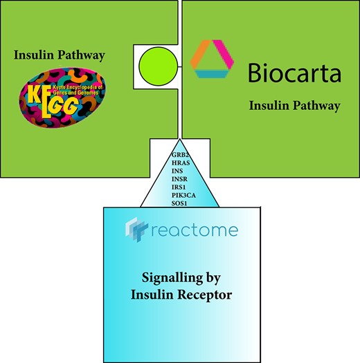 In the picture, the pieces with the same color indicate matching by name, meaning that pathways have the same name in both repositories. Nevertheless, the match is partial due to an incomplete protein overlap between KEGG and Biocarta pathway representation. Reactome on the protein list level is a superset to both KEGG and Biocarta databases, but include other proteins not contained in either of the two databases.
