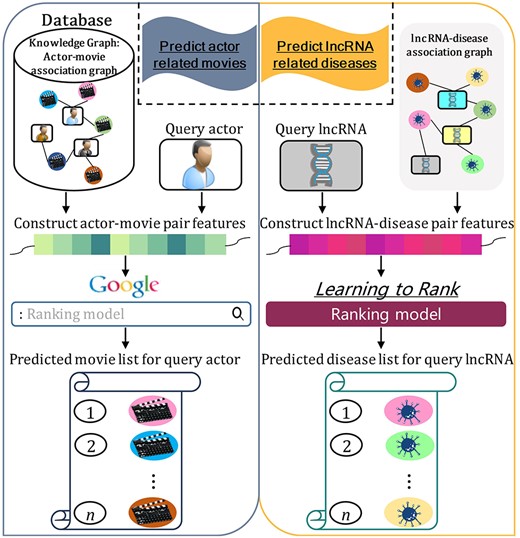 The similarities between the task of searching actor-movie associations in search engine combined with knowledge graph, and the graph-based lncRNA-disease association search task.