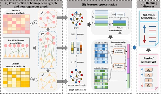The overall framework of GraLTR-LDA. (i) Construction of homogenous graph and heterogeneous graph: homogeneous graphs ${\mathcal{G}}^{\mathrm{L}}$ and ${\mathcal{G}}^{\mathrm{D}}$ are constructed based on the top k most similarity information from calculated lncRNA sequence similarity matrix and disease semantic similarity matrix, respectively. Besides, the heterogeneous graph ${\mathcal{G}}^{\mathrm{LD}}$ is constructed by incorporating ${\mathcal{G}}^{\mathrm{L}}$, ${\mathcal{G}}^{\mathrm{D}}$ and lncRNA-disease associations network. (ii) Feature representation: the node embedding matrices are learned from ${\mathcal{G}}^{\mathrm{L}}$, ${\mathcal{G}}^{\mathrm{D}}$ and ${\mathcal{G}}^{\mathrm{LD}}$ by graph auto-encoder. Then, the attention layer is applied to integrate the embedding matrices from different graphs for constructing a global node embedding matrix ${\mathrm{Z}}_{\mathrm{LD}\_\mathrm{att}}$. For any lncRNA-disease pair, GraLTR-LDA integrates the two kinds of features computed based on the feature crossing statistical method and the embedded vectors of diseases as the final features. (iii) Ranking diseases: the final features are inputted into the ranking model LambdaMART, based on which the diseases related with query lncRNA are ranked according to the predicted lncRNA-disease association scores calculated by the ranking model.