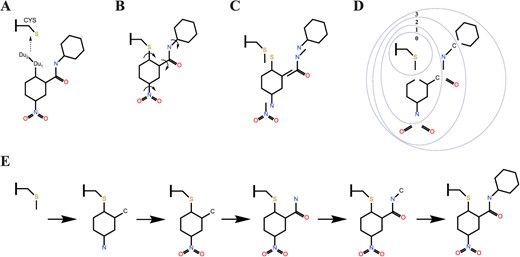 A scheme of binding conformation of ligand sampling. (A) Attached ligand to the receptor. (B) Identification of rotatable bonds. (C) Divided small molecules into distinct rigid segments. (D) Divided the overlap parts into the inner segment and the id of the layer increases from the inside to the outside. (E) Incremental construction started with the warhead layer (layer 0) and proceeded outward.