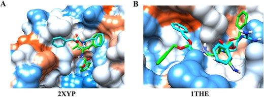 Comparison between the crystal structure (cyan) and the HCovDock predicted pose (green) for two failed docking cases. The protein is represented by a molecular surface and colored from red for the hydrophobic region to blue for the hydrophilic region. The ligands are in stick mode. (A) Target 2XYP. (B) Target 1THE.