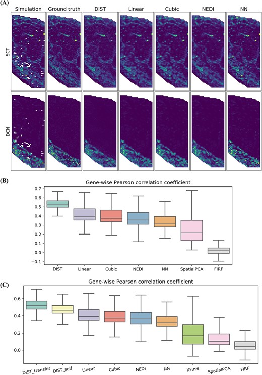 Simulations prove DIST can refine ST profiles with higher accuracy. (A, B) Simulation created from STARmap mouse placenta. (A) Spatial expression of several genes having different spatial patterns based on coarse-resolution simulated data, single-cell-resolution ground truth and imputed data using DIST, Linear, Cubic, NEDI and NN. Consistent color ranges scaled by gene-wise minimum and maximum of ground truth. (B) Gene-wise Pearson correlation correlations between ground truth and imputed expression using DIST, Linear, Cubic, NEDI, NN, SpatialPCA and FIRF. Boxes show 25th, 50th and 75th percentiles. Whiskers indicate the extent of all non-outliers defined as observations within 1.5 interquartile ranges from the hinges. (C) Simulation created from Stereo-seq adult mouse hemi-brain. Gene-wise Pearson correlation correlations between ground truth and imputed expression using DIST_transfer (transfer learning), DIST_self (self-supervised learning), Linear, Cubic, NEDI, NN, XFuse, SpatialPCA and FIRF. Boxes have the consistent explanation with (B).