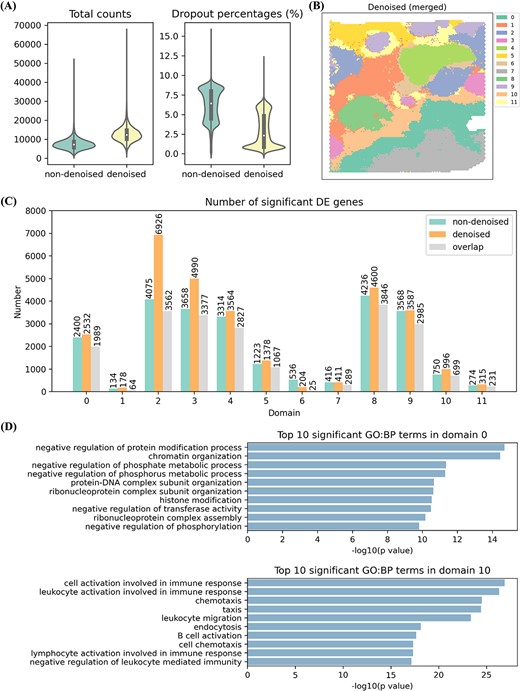 DIST simultaneously imputes and denoises low-quality IDC. (A) The violin plot of total counts (total number of counts for each spot) (left) and dropout percentages (percentage of spots each gene does not appear in) (right) based on non-denoised imputed IDC (light green) and denoised imputation (light yellow). (B) Merged clustering result of denoised imputation (Supplementary Figure S7), having matched domains with Figure 4E by the same color except for domains 1 and 6. (C) The number of significant (P-value < 1×10-6 and log2-foldchange > 0.6) DE genes for each domain. Green signs numbers from non-denoised data; orange signs numbers from denoised data; gray signs the overlaps of both. (D) Top 10 significant GO: BP terms only identified by denoised data in domain 0 (above) and domain 10 (below).