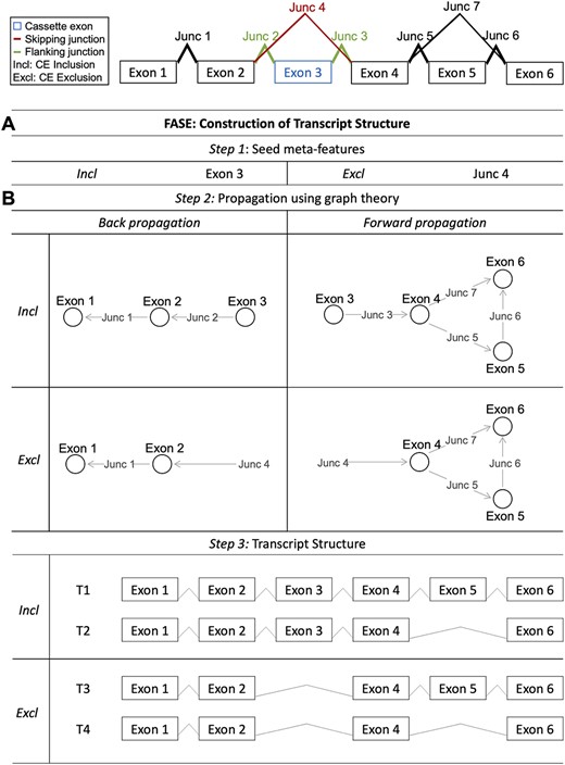 Prediction of transcript structure and concentration using RNA-Seq data ...