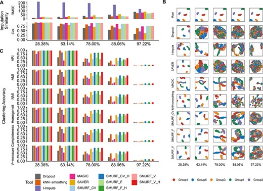 Benchmarking result on five in silico scRNA data with dropout rate of 28.38%, 63.14%, 78.00%, 88.06% and 97.22%. (A) The imputation consistency measured by RMSE and Pearson correlation (Cor.). (B) UMAP plot. Cells from the same group share the same annotation color. From left to right are datasets with the dropout rate of 28.38%, 63.14%, 78.00%, 88.06% and 97.22%. From top and bottom are tools: raw, dropout, I-Impute, SAVER, MAGIC, kNN-smoothing, SMURF_CV, SMURF_F and SMURF_V. (C) The clustering accuracy measured by adjusted rand index (ARI), adjusted mutual information (AMI), normalized mutual information (NMI), homogeneity score (Homogeneity), completeness score (Completeness) and V-measure score (V-measure). SMURF_CV, SMURF_V and SMURF_F stand for SMURF with variance mode constant coefficient of variance (CV), constant Fano (F) and constant variance (V), respectively. SMURF models with suffix ‘H’ mean the clustering was conducted with the cell embedding yielded by SMURF.