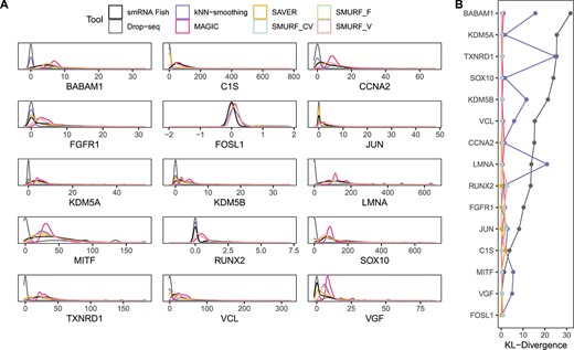 Benchmarking result on melanoma cell line WM989. (A) The imputed gene distribution and FISH estimated gene distribution among 15 genes. (B) The Kullback–Leibler (KL) divergence between imputed gene distribution and FISH estimated gene distribution.