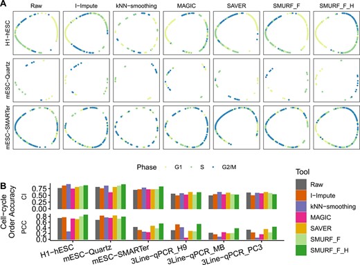 Cell-cycle visualization for hESCs. (A) 1D oval plot. Cells from the same cell cycle phase share the same annotation color. From left to right are tools: Raw, I-Impute, kNN-smoothing, MAGIC, SAVER, SMURF_F and SMURF_F_H. From top and bottom are datasets: H1-hESC, mESC-Quartz and mESC-SMARTer. (B) The time series scoring accuracy measured by the change index (CI) and Pearson correlation coefficient (PCC).