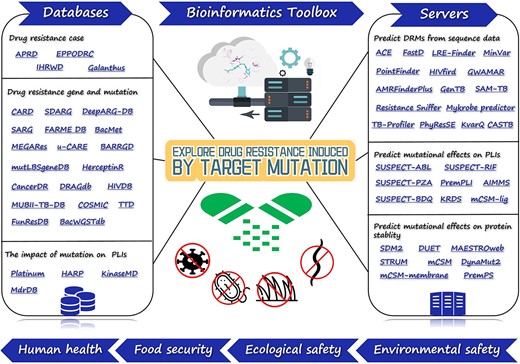 Sketch map of bioinformatics toolbox for target mutation-induced drug resistance research. We systematically surveyed 59 bioinformatics tools, which includes databases that provide information on the drug resistance cases, genes, mutations and the effects of mutations on PLIs, and servers for predicting the DRMs from sequence data, the effects of mutations on PLIs and the effects of mutations on protein stability. These tools may provide a toolbox for researchers working in the pesticide, biomedical, bioinformatics and pharmaceutical engineering fields, and good platforms for non-specialists to quickly understand drug resistance prediction.