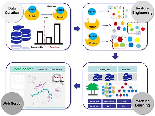 The methodology workflow for constructing structure-based prediction tools by ML-based methods. There are four steps involved in the methodology, (i) data collection and curation, (ii) feature extraction and selection, (iii) model training and testing and (iv) web server construction.