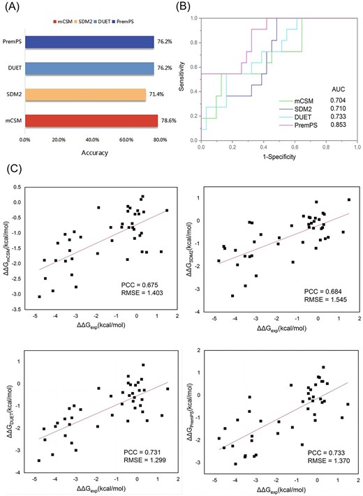 The performance evaluation of mCSM, SDM2, DUET and PremPS on P53 dataset. (A) The accuracy of mCSM, SDM2, DUET and PremPS on the P53 dataset. (B) The ROC curve and the AUC of mCSM, SDM2, DUET and PremPS on the P53 dataset. (C) PCC and RMSE between experimentally determined and calculated values of changes in protein stability (∆∆G) for mCSM, SDM2, DUET and PremPS on the P53 dataset.