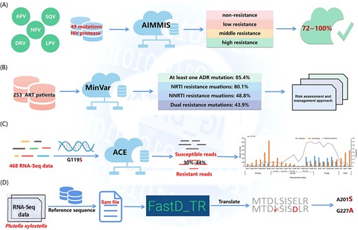Schematic representation of AIMMS, MinVar, ACE and FastD workflow. (A) The predictive accuracy of AIMMS for five inhibitors (APV, SQV, NFV, DRV and LPV) on 49 HIV protease MTs under four thresholds was 72–100%. (B) MinVar was used to identify the DRMs of 253 adult patients attending ART clinics, 85.4% had at least one ADR mutation, 80.1% had NRTI resistance mutations, 48.8% had NNRTI mutations and 43.9% had dual resistance mutations. Regular virological monitoring and drug resistance genotyping methods should be implemented for better ART treatment outcomes of the nation. (C) They obtained RNA-Seq data from 468 samples, of which 20 were from an eastern Ugandan population. Since the G119S mutation of ace1 has been reported to confer insecticide resistance, they identified resistant reads from all 468 RNA-Seq data of A. gambiae by ACE. The results indicated that the resistance frequency was 30–44% in the eastern Ugandan population, suggesting that the resistance in the Ugandan Anopheles population has reached a very high frequency. Detection of the G119S mutation in the different developmental stages of A. gambiae. The late 4th instar larvae and pupae stages had higher resistance frequencies than the embryo and adult stages (One-way analysis of variance (ANOVA) test, P < 0.01). (D) First, raw reads from RNA-Seq data from case and control samples should be quality controlled to filter out aptamers and low sequencing quality reads. The clean reads obtained are then mapped to the target gene sequence using bowtie2 with additional options to generate a sequence SAM file. POS tagging based on each read. Based on the POS tags of each read, the nucleotides corresponding to the reference gene positions on the case and control samples are extracted using Perl scripts. Positions that included more than one corresponding nucleotide for each position and had read coverage ≥30 were considered as SNPs. Next, the allele frequency of each SNP was calculated and compared between case and control samples. SNPs with ≥40% difference in allele frequencies between case and control samples were treated as differential SNPs. Then, the codons at the differential SNP positions were translated into amino acid residues. Only non-synonymous differential SNPs were selected as potential target mutations. They used the FastD to detect the resistance mutations of the AChE in P. xylostella, they detected A201S and G227A mutations, and these two mutations were verified to be related to the resistance of organophosphorus and carbamate.