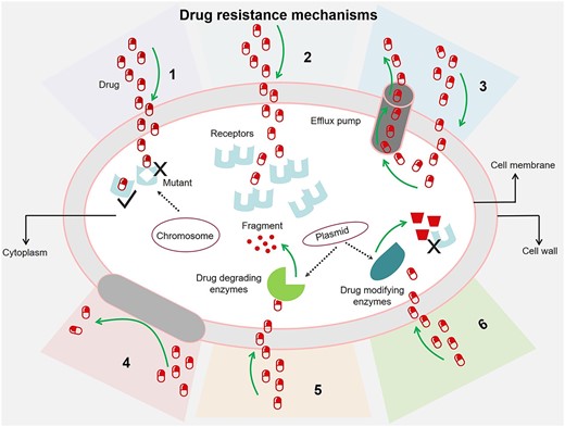 Drug resistance mechanisms. Drug resistance molecular mechanism can be divided into six main categories: (i) target mutation, (ii) epigenetic modifications, (iii) drugs efflux, (iv) modified cell wall proteins, (v) enzymatic breakdown of drugs, (vi) enzymatic modification of drugs.