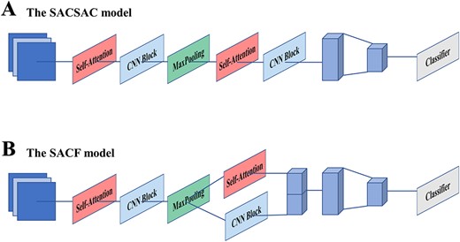 The brief illustration of variant models: (A) the SACSAC model. (B) the SACF model.