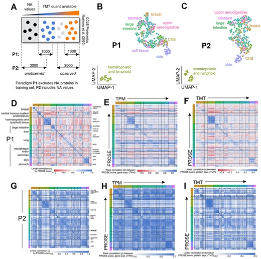 Reanalysis of the CCLE proteomic dataset captures cell line- and tissue-specific biological features. (A) Definition of observed and unobserved protein lists from the dataset. Paradigm P1 only considers detected, differentially expressed proteins. Paradigm P2 additionally considers undetected proteins in the dataset. (B, C) Clustering of cell lines by PROSE score under paradigm P1 or P2 produces essentially identical tissue-specific patterns. (D–F) Correlation of PROSE scores and matched transcriptome or proteome across cell lines under Paradigm P1. The clustering from panel D is used throughout (clustering here was performed within tissue of origin). (G–I) As before, but under paradigm P2. The clustering from panel G is used throughout.