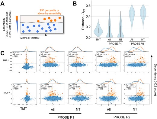 Separation of high-dependency proteins under paradigm P2. (A) High-dependency proteins, defined here as those in the top 95th percentile or above by -DEMETER2 score, derived from the DRIVE deep shRNA screen for gene dependencies across cancer cell lines. (B) Separation of high-dependency and low-dependency protein score distributions, measured by the Kolmogorov–Smirnov test statistic DKS. Values closer to 0 indicate no distance between empirical cumulative distributions, while values closer to 1 indicate strong separability. The non-training (NT) subset shows a similar distribution. Known cancer-associated genes are represented by larger opaque dots on the scatterplot. (C) Visualization of high-dependency and low-dependency protein distributions under TMT quants or PROSE scoring paradigms. Two common cell lines, THP1 and MCF7, are shown as examples. In the upper-left corner, the corresponding P-value is shown alongside the DKS. n represents the number of quantified proteins with available DEMETER2 scores.