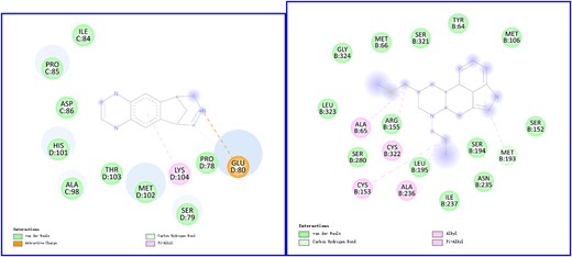 2D visualization of docking results. The left figure shows docking interactions of DB01273 (varenicline) with Q15822 (CHRNA2), and the right figure presents docking interactions of DB01186 (pergolide) with P34969 (HTR7)