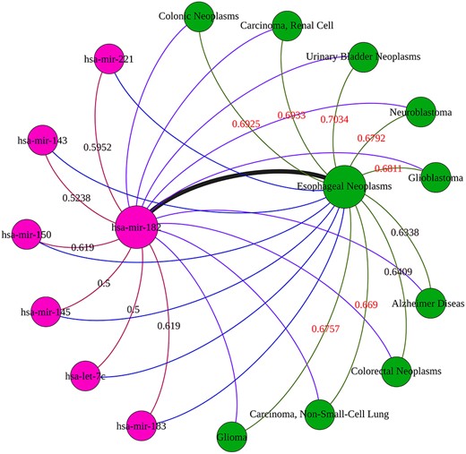 In this subnetwork, the red node is miRNA, the green node is disease, and the edges with different colors represent miRNA–miRNA similarity association, disease–disease similarity association and miRNA–disease association, respectively.