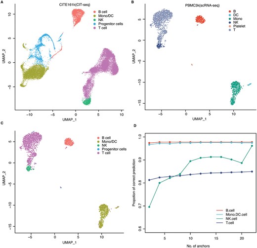 Mapping cell types between scRNA-seq and CITE-seq data. (A) The UMAP visualization diagram of the CITE-seq data. (B) The UMAP visualization diagram of the scRNA-seq data. (C) The UMAP visualization of the predicted cell type in scRNA-seq data based on cell labels from CITE-seq data. (D) Proportion of the correctly predicted cells in each cell type with different numbers of anchors.