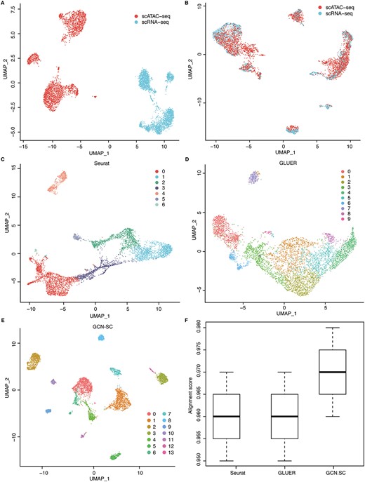 Integration of single-cell multi-omics data. (A) The UMAP visualization of the scRNA-seq and scATAC-seq data from the same group of cells (dataset 5). (B) The UMAP visualization of the integrated data processed by GCN-SC. The UMAP visualization of the integration data by Seurat (C), GLUER (D) and GCNSC (E). (F) The alignment score map of the three integration algorithms Seurat, GLUER and GCN-SC on dataset 5.