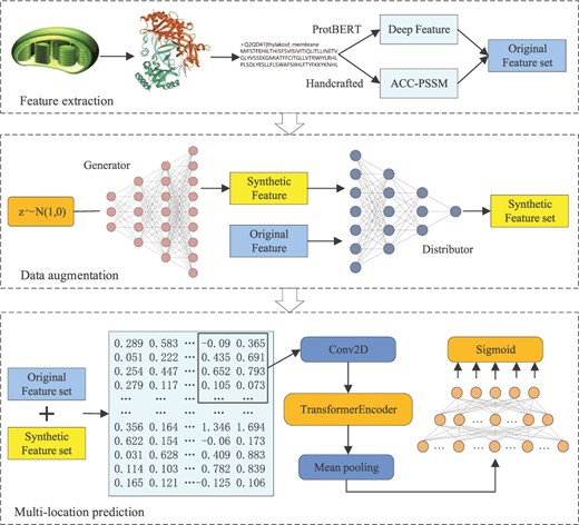 The overall flow chart of the protein subchloroplast predictor DaDL-SChlo we proposed. It includes three steps: feature extraction, data augmentation and multi-location prediction.