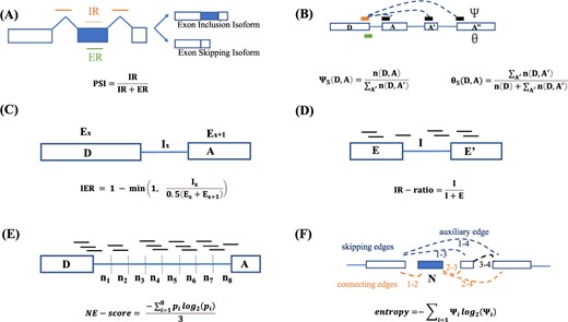 Illustration of metrics for characterizing alternative splicing events. The schematic diagram of (A) PSI ; (B) $\Psi $ and $\theta $ (The black bar indicates A’ in Eq (2) and Eq (4)); (C) IER; (D)IR-ratio; (E)NE-score; (F)entropy in Whippet.