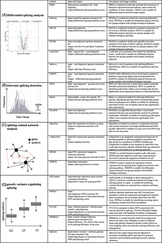Illustration of methods for detecting disease-associated alternative splicing events. The schematic diagram of (A) Methods of differential splicing analysis; (B) Methods of aberrant splicing detection; (C) Methods of splicing-related network analysis; (D) Methods for detecting splicing-associated genetic variants.