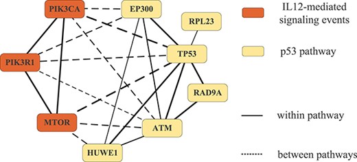 Interactions within/between ‘p53 pathway’ and ‘IL12-mediated signaling events’.