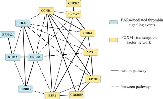 Interactions within/between ‘PAR4-mediated thrombin signaling events’ and ‘FOXM1 transcription factor network’.