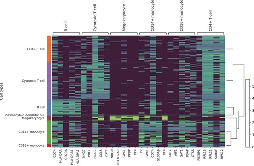 Heatmaps of the top five important genes for different cell types in the query dataset.