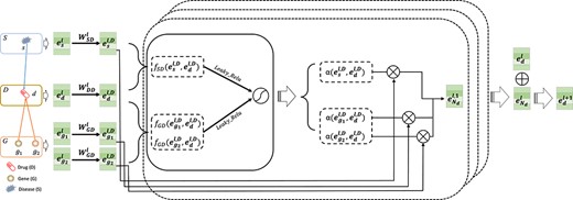 Transformation module and heterogeneous neighbor-domain information aggregation module. Taking drug entity $d$ as an example, which has neighbors in gene domain ($g_{1}$ and $g_{2}$) and disease domain ($s$), we first apply domain transformation on its neighbors with transformation module. Then, we calculate attention coefficient $\alpha $ by using the transformed embedding and aggregate information from neighbors with $\alpha $ to obtain embedding of $d$ at layer $l$, $\boldsymbol{e}_{N_{d}}^{l}$. The ${(l+1)}^{th}$ layer embedding $\boldsymbol{e}_{d}^{l+1}$ of $d$ is obtained by aggregating $\boldsymbol{e}_{d}^{l}$ and $\boldsymbol{e}_{N_{d}}^{l}$.