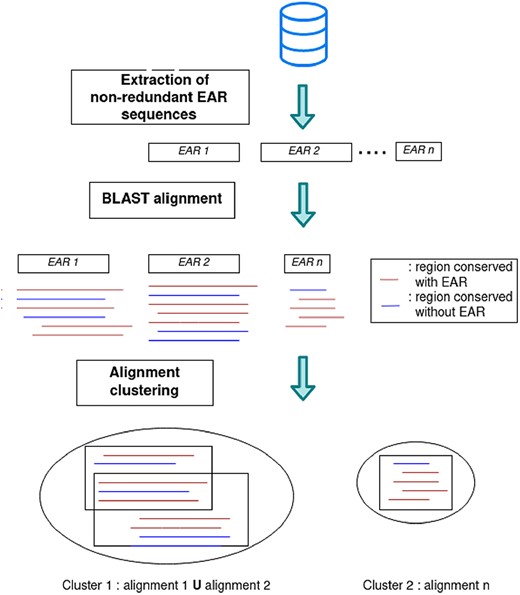 Protocol for the evaluation of EAR sequence conservation.