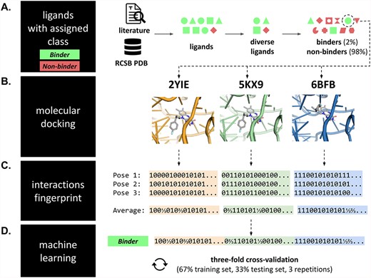 Dataset preparation pipeline. (A) For each RNA target, a dataset of ligands with experimentally determined binding to the target RNA was collected from the literature reports and the RCSB PDB database. The pool of ligands was diversified, and putative non-binding ligands were generated. Each molecule from this dataset (with the binary activity class assigned) was (B) independently docked to three structures of its corresponding RNA target. (C) Next, for each computationally predicted RNA–ligand complex, SIFts were calculated for the three top-scored poses (and then averaged); fingerprints from each complex were concatenated into a single long fingerprint. (D) Fingerprints were combined with a binding class of the initial molecule and used as inputs to ML. This procedure was repeated for each molecule in the dataset of a given RNA target, and the resulting fingerprints were collected in a single table, which served as input to ML.