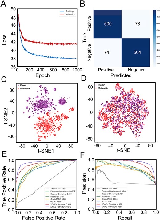 Performance of MPI-VGAE on metabolite–protein interaction network of Homo sapiens. Panel A shows the training and validation loss versus epoch in the MPI-VGAE. Panel B shows the confusion matrix on the metabolite–protein interaction network of H. sapiens. Panel C shows the t-SNE visualization of explicit feature representation by ECFP molecular fingerprints of metabolites and SeqVec features of proteins. Panel D shows the t-SNE visualization of graph embeddings of metabolites and proteins by VGAE. Panels E and F show the ROC and PR curves of MPI prediction by different machine learning models on the test dataset of the metabolite–protein interaction network of H. sapiens. The score of ‘iVGAE+structure’ denotes the performance of MPI-VGAE when protein–protein interaction and metabolite–metabolite interaction information are added to the MPI network.