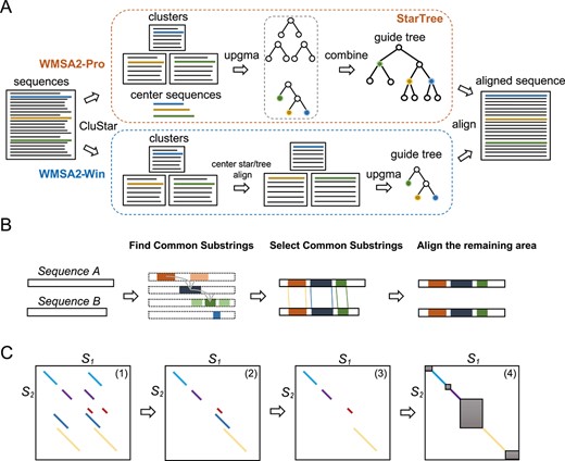 Algorithm diagram of WMSA2. (A) The main procedure of progressive and win-win modes of WMSA 2, and the StarTree algorithm is shown in the orange dash box. (B) The primary process of PSA. The four sets of colored fragments in the second panel represent the total common substrings of sequences A and B. The dashed bar represents the position of sequence A, which together with fragments indicated the location of common substrings accordingly. (C) An example of selecting the common substrings. (1) All common substrings found in ${S}_1$ and ${S}_2$; (2) when one common substring in ${S}_2$ corresponds to several regions in ${S}_1$ (colored substrings), select the substrings with smaller location offset; (3) use DP to search for the longest and non-overlapped substrings, which filter out the blue string; (4) delete the substrings (red) with a larger offset than its length to filter out possible short tandem repeat. The dark area is ready to be aligned by k-banded DP.