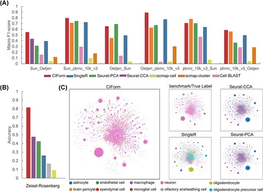 Performance of CIForm across independent datasets. (A) Cell-type annotation performance of CIForm, SingleR, Seurat-PCA, Seurat-CCA, scmap-cell, scmap-cluster and Cell BLAST by Macro F1 score. (B) Accuracy values (bar plot) in which the Zeisel dataset acts as the reference dataset and the Rosenberg dataset acts as the query dataset. (C) Uniform Manifold Approximation and Projection (UMAP) visualization of all cell types from Rosenberg datasets. Cell types were color-coded based on original annotation, as well as annotation predicted by CIForm, Seurat-CCA, SingleR and Seurat-PCA. The Zeisel acts as the reference dataset and Rosenberg acts as the query dataset.