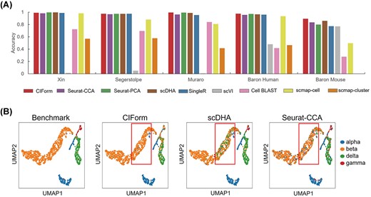 Performance of CIForm in the annotation of the four major pancreatic cell types (alpha, beta, delta and gamma) in the Pancreas datasets. (A) Classification accuracy of CIForm and other methods. In each scenario, one pancreas dataset acts as the query dataset and the rest of the pancreas datasets act as the reference dataset, resulting in five train–test pairs. (B) UMAP visualization of alpha, beta, delta and gamma cells from the Baron Mouse dataset. Cell types were color-coded based on original annotation, as well as annotation predicted by CIForm, scDHA and Seurat-CCA. The Baron Mouse dataset acts as the query dataset and the other pancreas datasets act as the reference dataset.