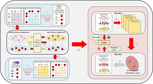 The overall framework of model MTLMDA.
