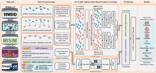 The overview of DAmiRLocGNet framework.